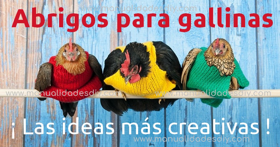 abrigos gallinas